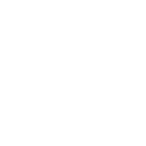 HSCMG